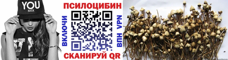 Псилоцибиновые грибы Magic Shrooms  купить наркотики цена  Киров 